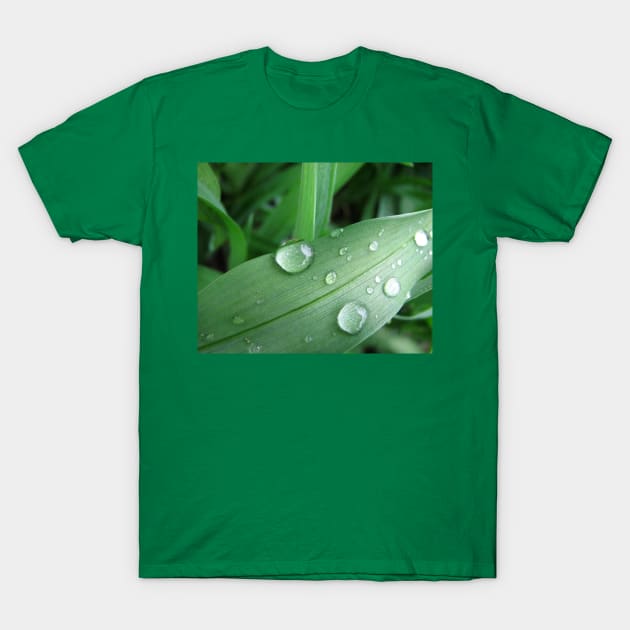 Water Droplets T-Shirt by ARTWORKandBEYOND